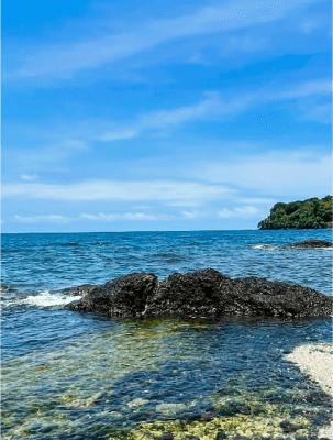 Isla Mamey, Túnel del amor, Piscina natural, Isla de los Monos - Vive una experiencia única con Dátilera Tours